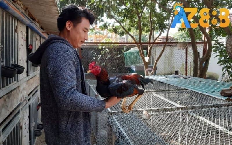 Bài tập thả rơi tự do giúp tăng độ cứng cho chân Bài tập thả rơi tự do giúp tăng độ cứng cho chân