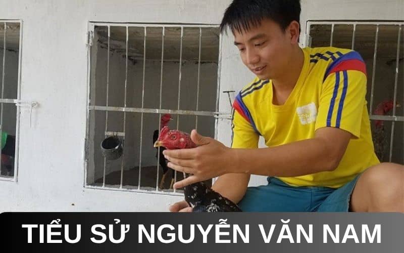 Tiểu sử Nguyễn Văn Nam Tiểu sử Nguyễn Văn Nam